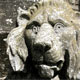 Image news