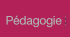 Pédagogie et organisation